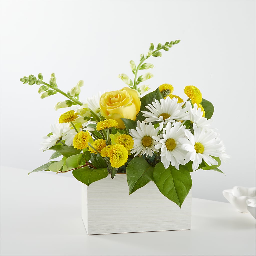 Sun Salutation Box Bouquet – Princess Flowers, Las Vegas NV