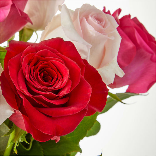 Charming Rose Bouquet – Princess Flowers, Las Vegas NV