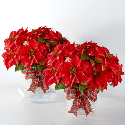Happiest Holidays Poinsettia Bundle –  Princess Flowers, Las Vegas NV