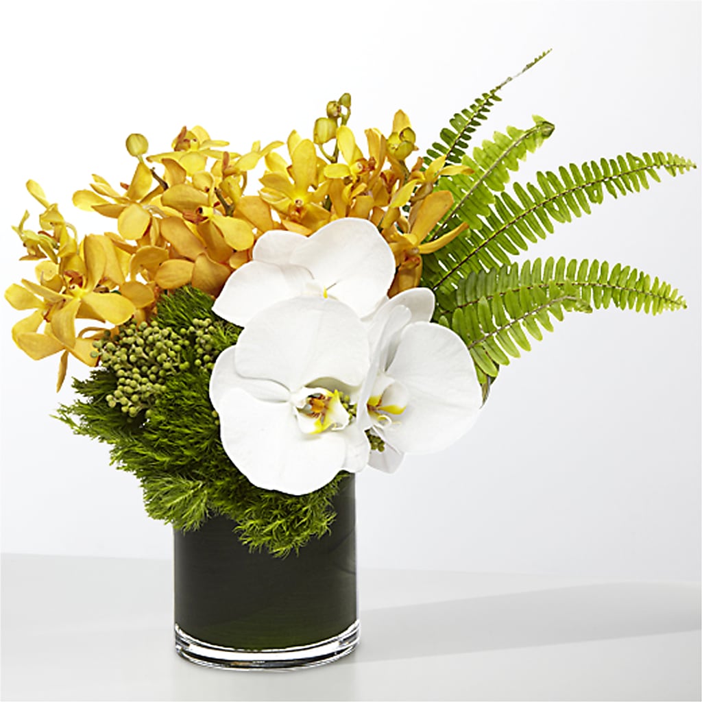 The Tropics –  Princess Flowers, Las Vegas NV